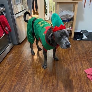 Meet your Posher, William